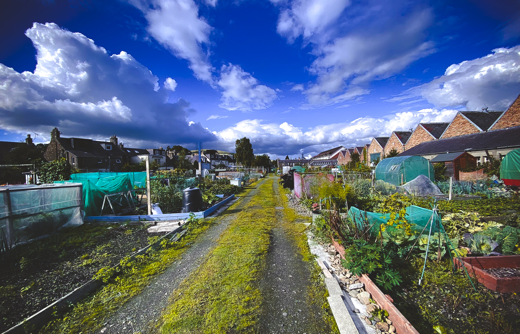 March Street Mill Alllotments